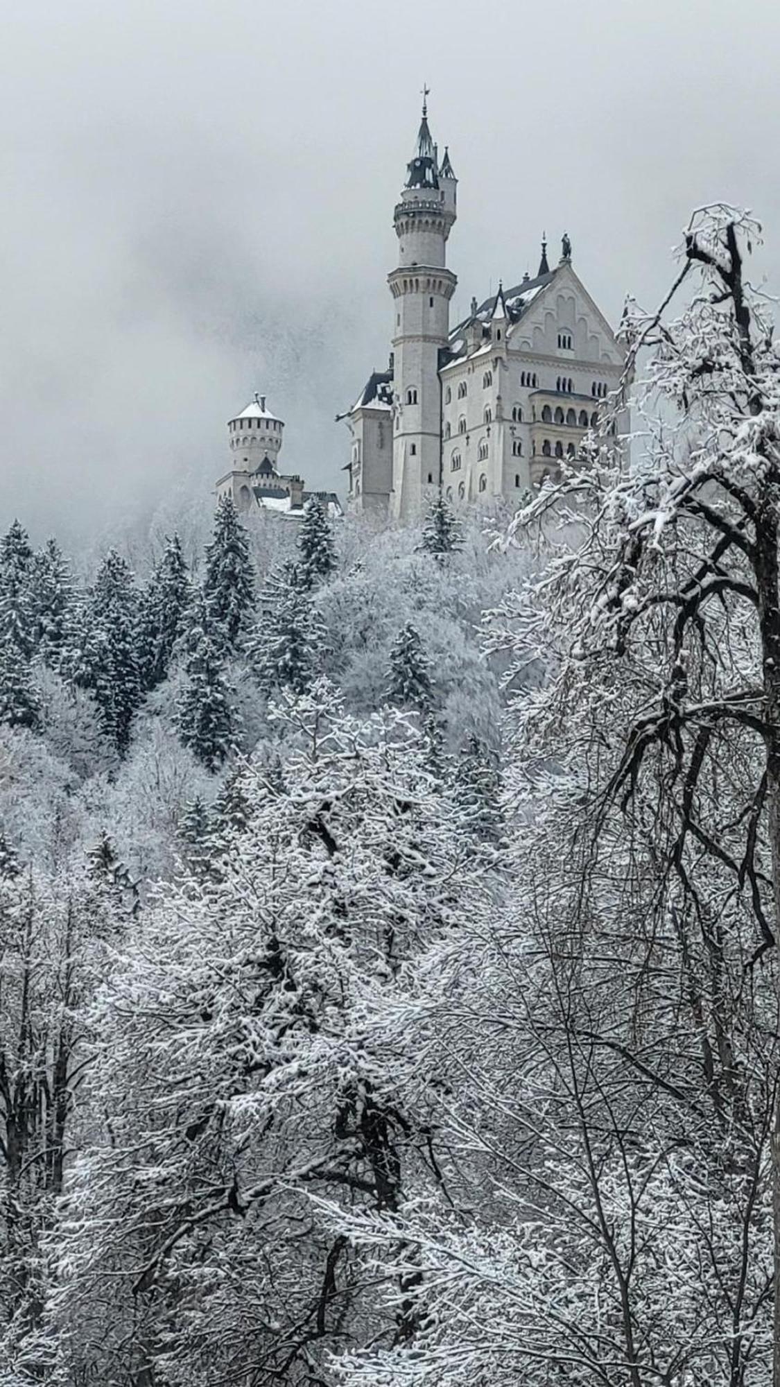 House La Neuschwanstein Blick - Budget City Hotel Fussen Ngoại thất bức ảnh